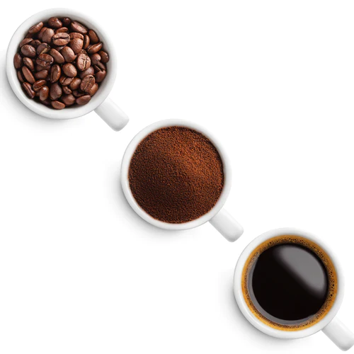 Is Mushroom Coffee Better than your Regular Brew? βπ