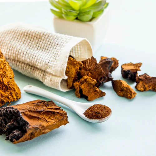 Is Chaga Mushroom Nature's Powerhouse for Optimal Well-being?