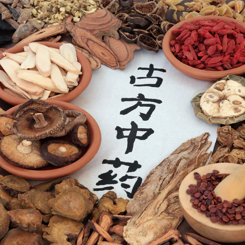 Chago Root Is Chaga Nature's Ancient Medicinal Marvel? – Shroom Awakening